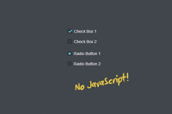 Красивые чекбоксы и радиокнопки на CSS3 без JavaScript