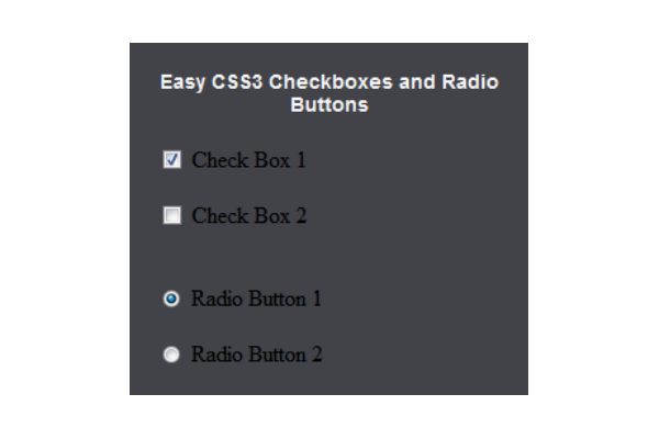 Красивые чекбоксы и радиокнопки на CSS3 без JavaScript