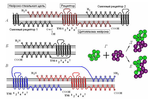 Логика мышления. Часть 4. Фоновая активность Логика мышления. Часть 4. Фоновая активность