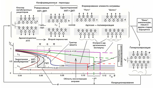 Логика мышления. Часть 4. Фоновая активность Логика мышления. Часть 4. Фоновая активность