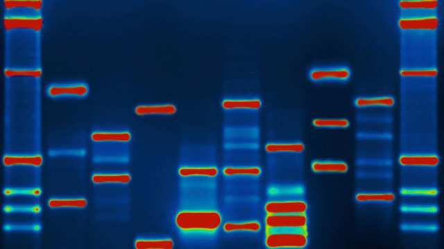Надёжное хранение информации в ДНК (2,2 петабайта на грамм)