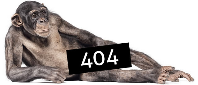 Несколько примеров креативного подхода при создании «Error 404» страниц