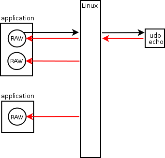 Особенности получения пакетов через raw socket в Linux