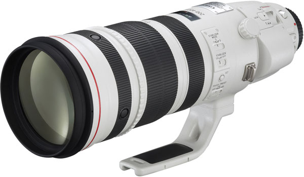 Продажи телеобъектив Canon EF 200-400mm f/4L IS USM Extender 1.4x начинаются 29 мая по цене 11800 евро