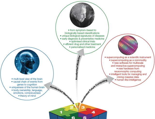 Проект «Человеческий мозг» официально стартовал Проект «Человеческий мозг» официально стартовал