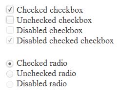 Простая кастумизация Checkbox и Radio