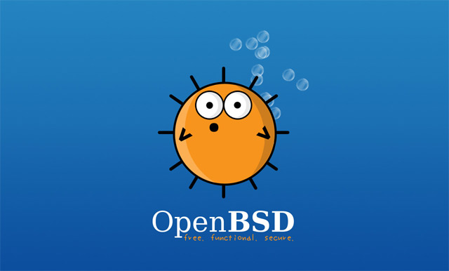 Румынский биткоин миллионер оплатил долги OpenBSD