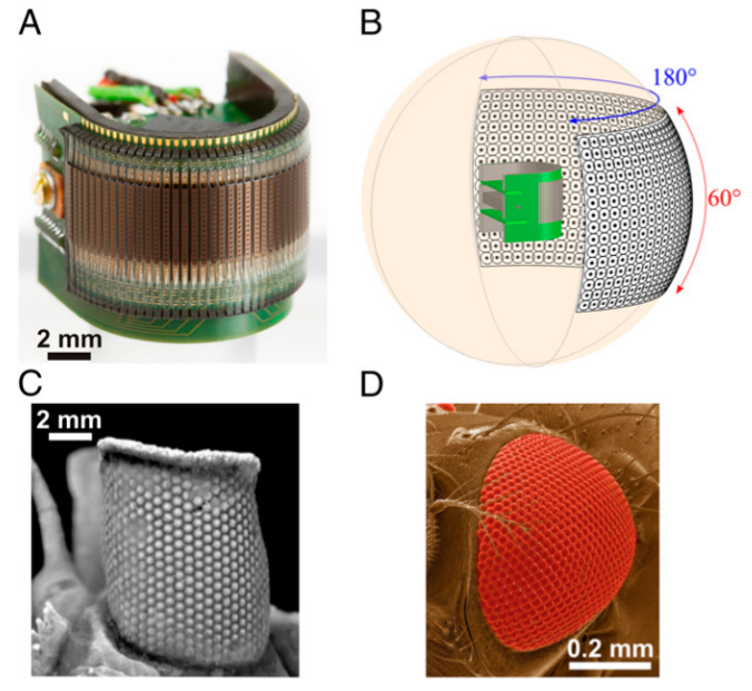 Швейцарские учёные разработали искусственный фасеточный глаз