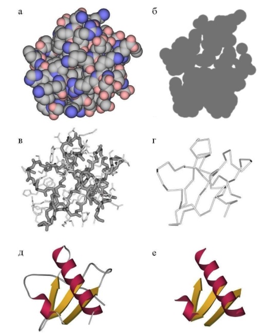 Структура белка: введение для айтишников