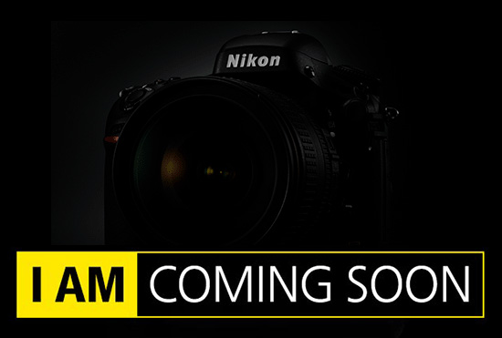 В конце июня ожидается выпуск новой полнокадровой зеркальной камеры Nikon