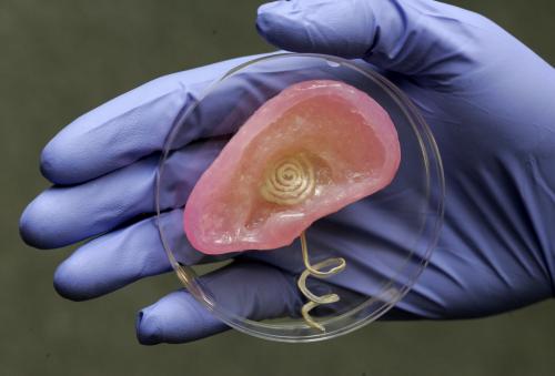 В Принстоне напечатали бионическое ухо, способное «слышать» радиоволны