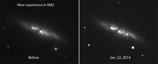 В соседней галактике M82 обнаружена сверхновая звезда. Взрыв через 2 недели