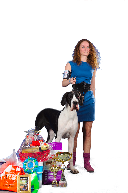 Замена фона в Гимпе — рабочее решение