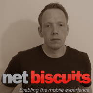 Знакомство с NetBiscuits на Ciklum Speakers’ Corner в Днепропетровске