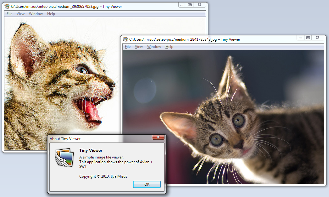 Zetes: Java с мультиплатформенным GUI, но без Oracle JVM Zetes: Java с мультиплатформенным GUI, но без Oracle JVM