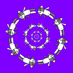 Кош на комплексной плоскости Кош на комплексной плоскости