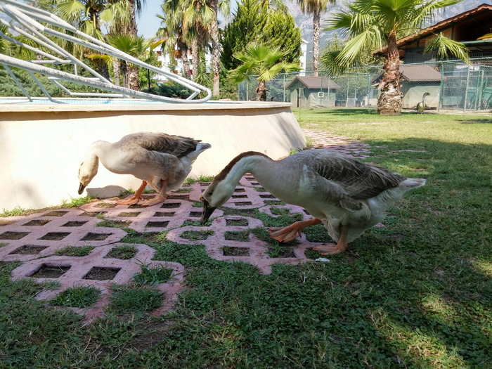 LG G3: снаружи и внутри самого четкого в мире смартфона LG G3: снаружи и внутри самого четкого в мире смартфона