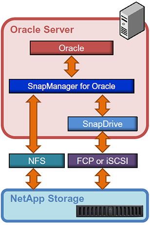 NetApp SnapManager for Oracle & SAN сеть