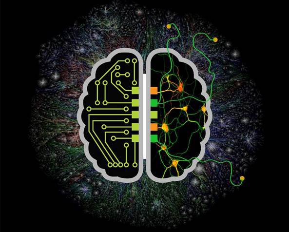 Почему вам следует загрузить свой разум в суперкомпьютер? Почему вам следует загрузить свой разум в суперкомпьютер?