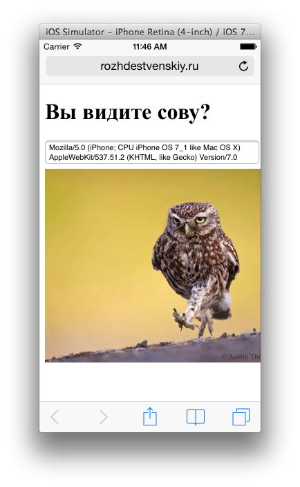 Ещё одна причина переходить на SSL или 133 КБ не лишние