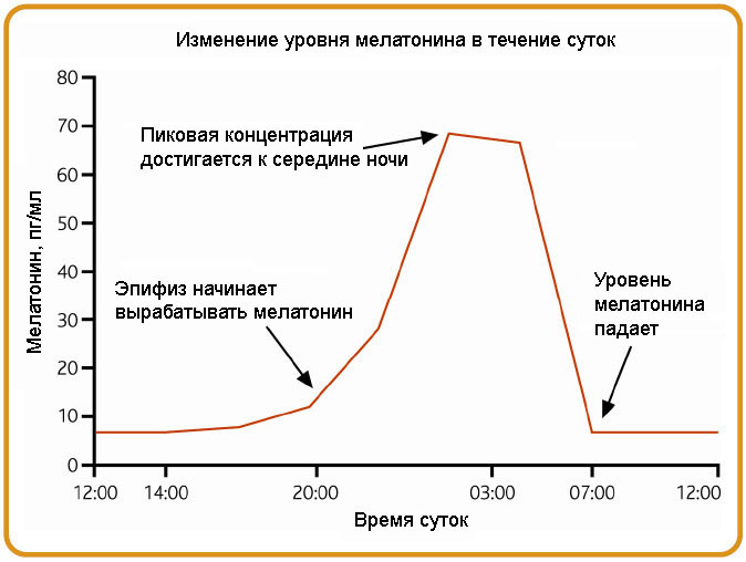 Биохакинг сна: подтверждённые наукой советы