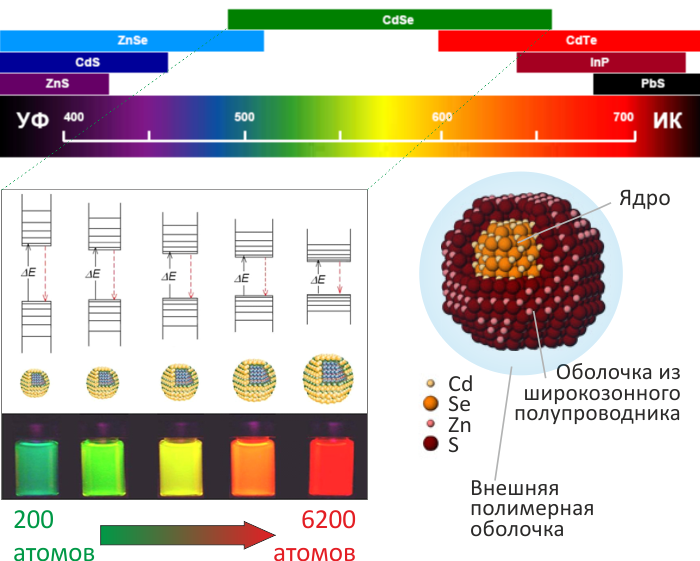 This is Science: Эластичный дисплей на квантовых точках