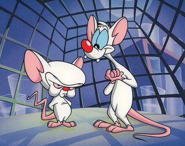 Команде ученых Университета Люксембурга удалось приживить «искусственные» нейроны в головной мозг мышей Команде ученых Университета Люксембурга удалось приживить «искусственные» нейроны в головной мозг мышей