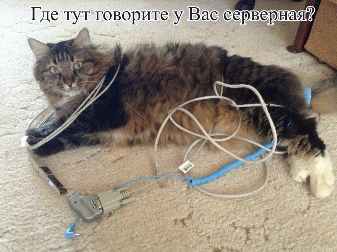 Начальная конфигурация ALU или один день из жизни «полосатого» подрядчика image