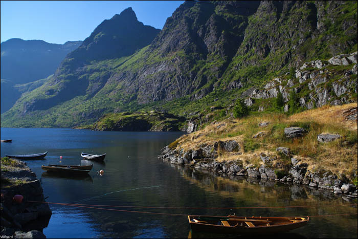 Всё, что я не понимал про устройство Firefly, было на арктической яхте