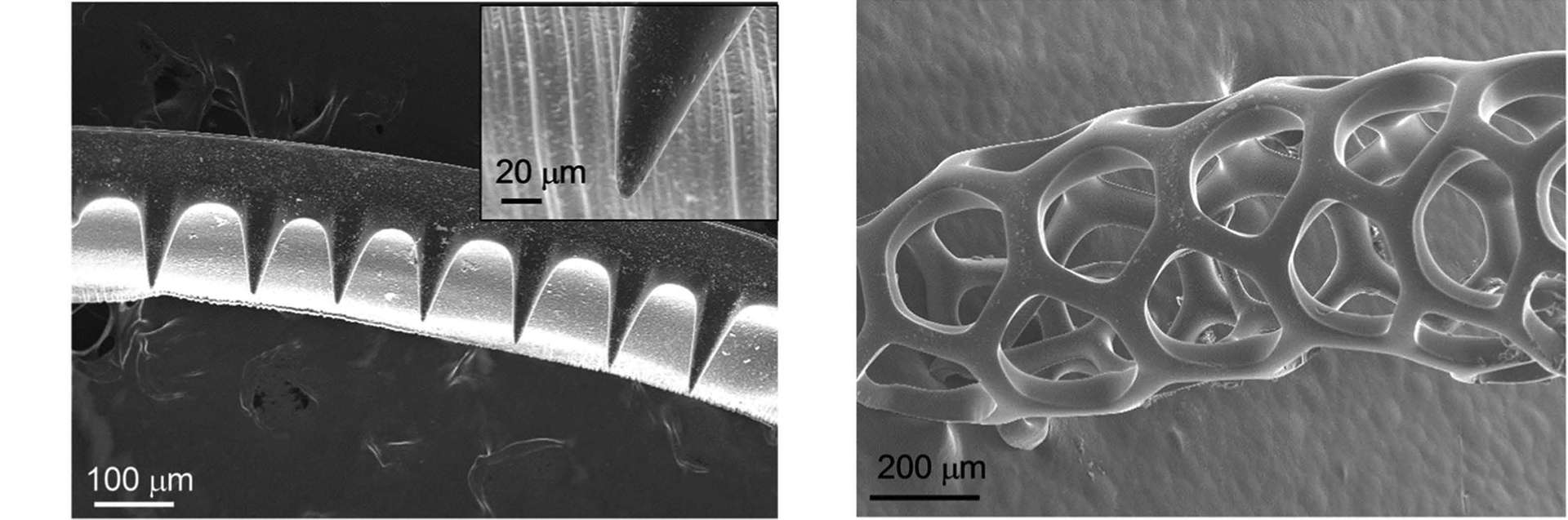 This is Science: 3D оптическая печать переезжает на микроуровень