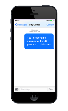 Wi Fi по паспорту? Как реализовать технически Пример присланных по SMS реквизитов доступа