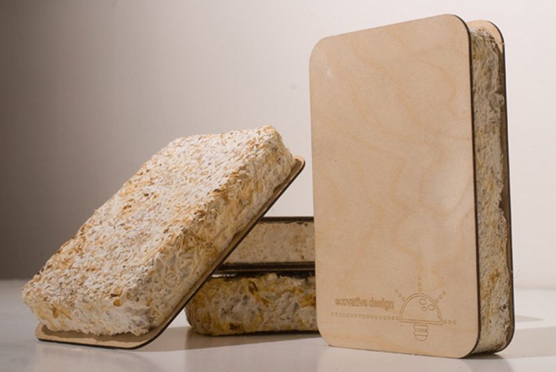 Maasaica – 3D печатный биоорганический автомобиль Maasaica – 3D печатный биоорганический автомобиль