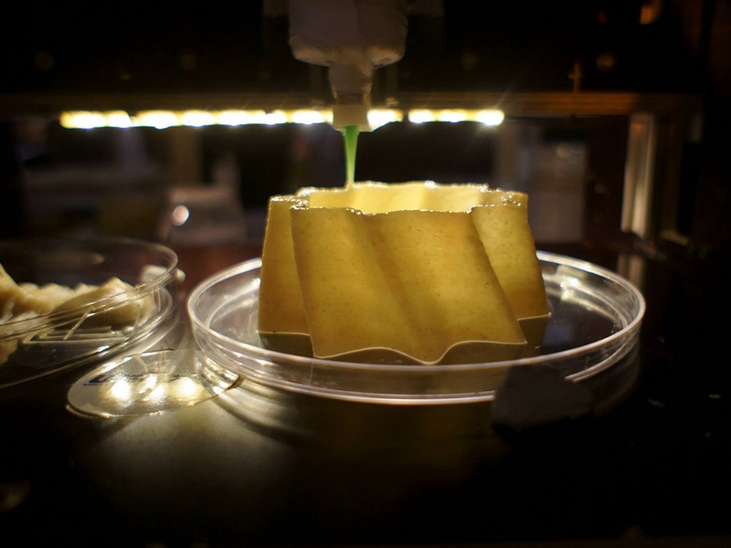 Maasaica – 3D печатный биоорганический автомобиль Maasaica – 3D печатный биоорганический автомобиль