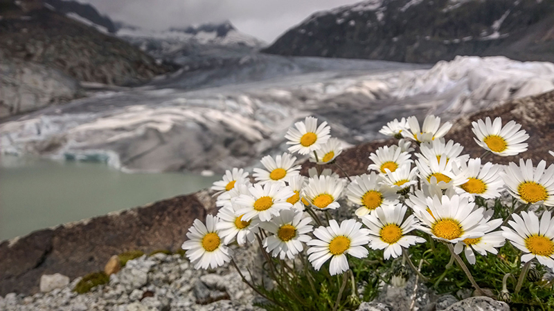 Nokia Lumia в руках профессиональных фотографов Nokia Lumia в руках профессиональных фотографов