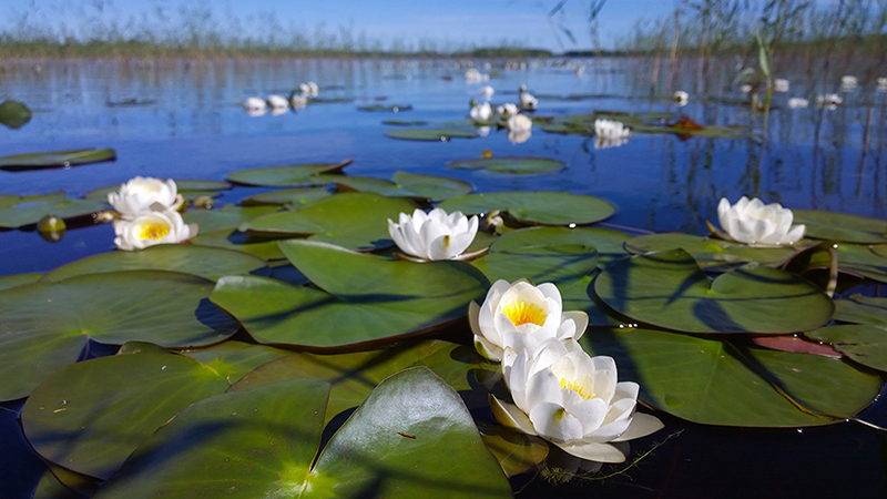 Nokia Lumia в руках профессиональных фотографов