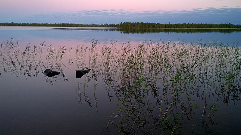 Nokia Lumia в руках профессиональных фотографов