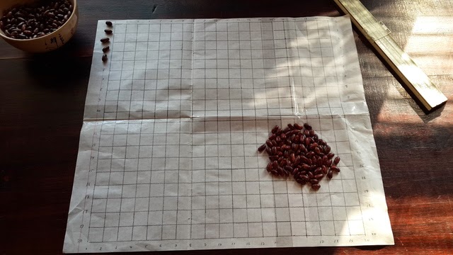 Почему нельзя делить на ноль, даже если очень хочется? image