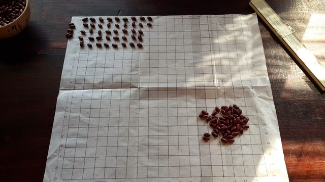 Почему нельзя делить на ноль, даже если очень хочется? image