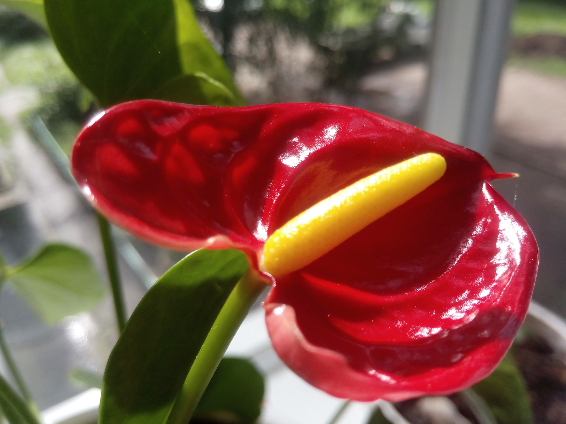 iNew V8 – особенный, но не идеальный iNew V8 – особенный, но не идеальный