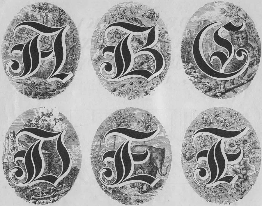 Немного о рукописных шрифтах Немного о рукописных шрифтах