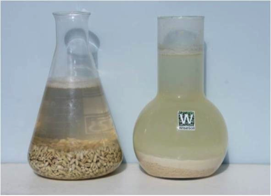 Полевая кухня для бактерий Полевая кухня для бактерий