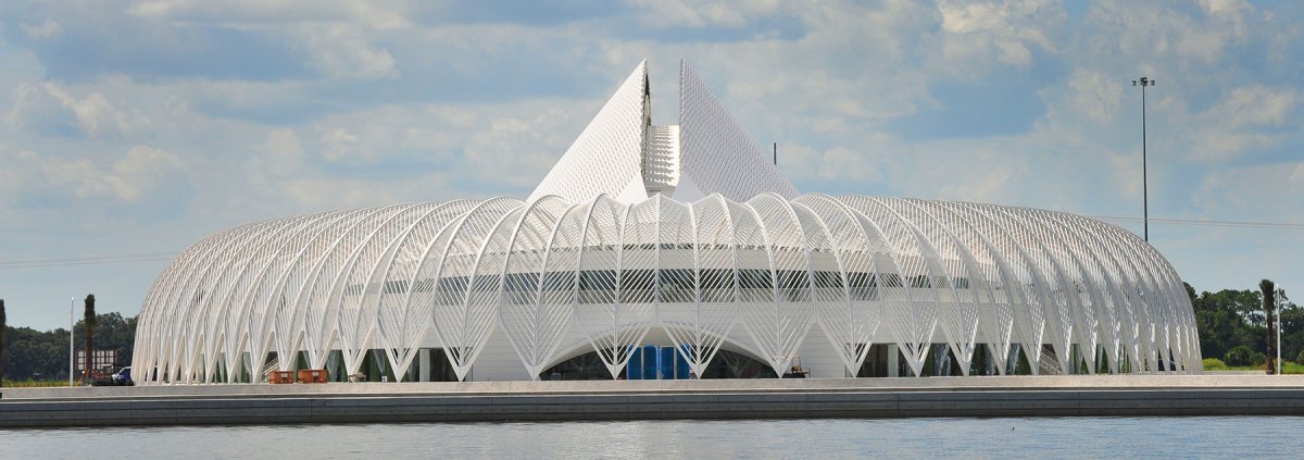 Университет Флориды убрал из библиотеки бумажные книги