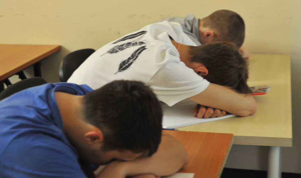 Свой образовательный лагерь с покером, 3d принтером, роботами и посадкой на Марс