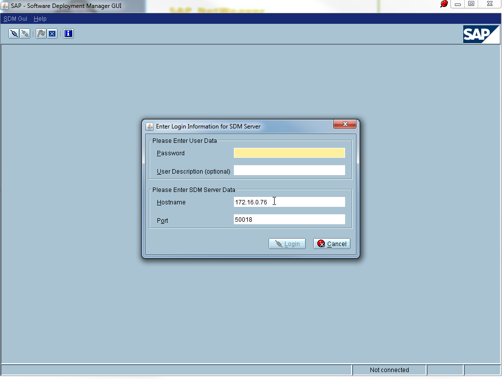SAP SDM. 6 букв — много проблем image