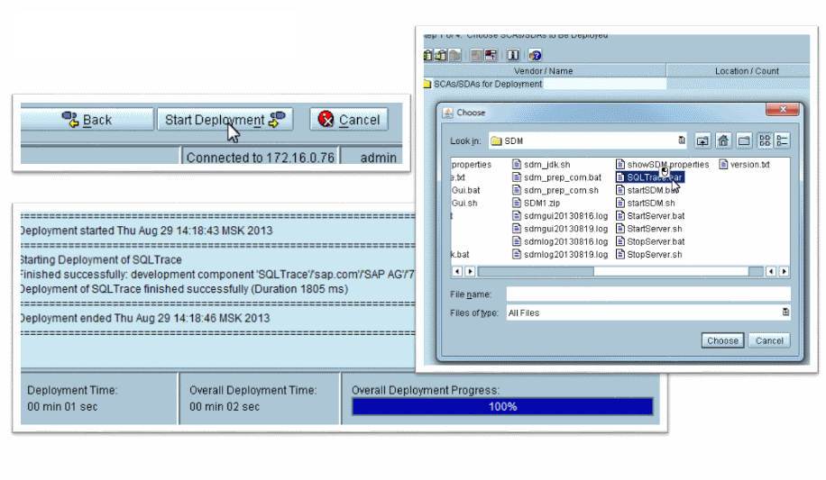 SAP SDM. 6 букв — много проблем image