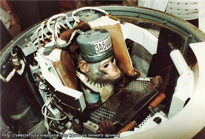 Физические и биологические спутники серий «Фотон» и «Бион»