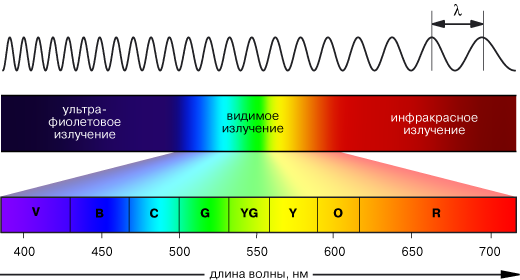 Почему трава зеленая, а программисты крутые