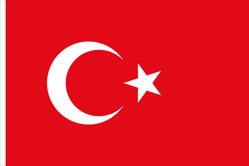 Эти занимательные региональные настройки Turkey flag