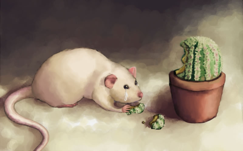 Почему люди не растут: чем больше вариантов роста, тем хуже Мышки плакали и кололись