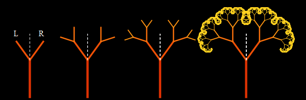 Prikljuchenija-v-matematicheskom-lesu-fraktalnyh-derevev_43.gif